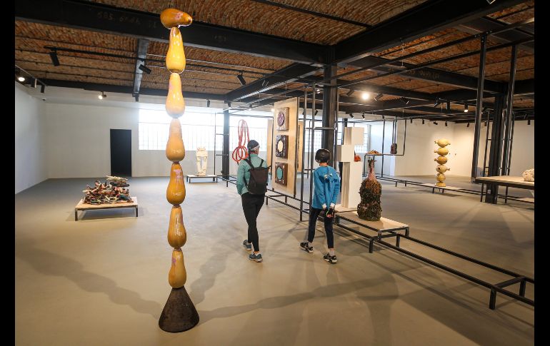 “Convergencias/Divergencias” invita a descubrir un lenguaje visual desarrollado desde una colectividad de artistas conceptualmente heterogéneos, que convierten un supuesto abismo, en un mítico paisaje. EL INFORMADOR / H. Figueroa