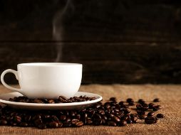 El capomo es una semilla con alto nivel nutricional, un alimento muy versátil que se puede consumir como sustituto de café. UNSPLASH / M. Kenneally
