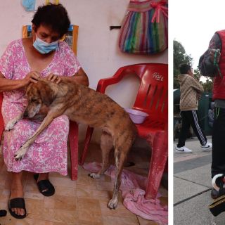 ¿Qué significa cuando un perro se para en dos patas?