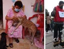 Los perros suelen pararse apoyándose de sus dos piernas traseras, ¿sabes lo qué significa? SUN / ARCHIVO