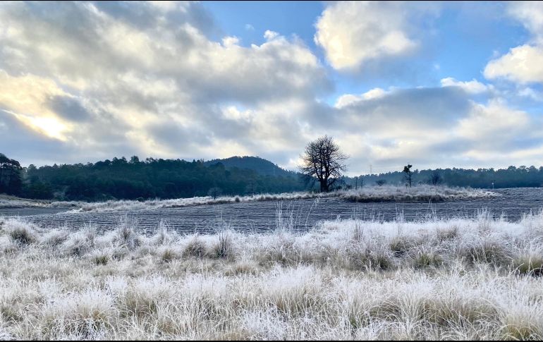 El frío azotará a algunos estados de la zona norte. SUN/ARCHIVO