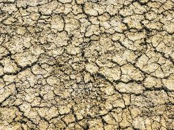 La raíz de esta crisis reside en el desequilibrio entre la demanda creciente de agua y la disponibilidad limitada de recursos hídricos. Pixabay
