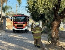 Conjuntamente con personal de Pemex, están realizando una evaluación para determinar las condiciones del lugar. ESPECIAL / UEPCBJ