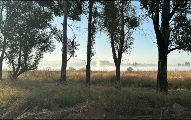 Se detectó la presencia de vapores en las zonas aledañas a la fuga en Tonalá, por lo que se determinó activar este evento debido a los potenciales riesgos a la salud para la población. ESPECIAL / UEPCBJ