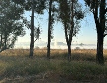 Se detectó la presencia de vapores en las zonas aledañas a la fuga en Tonalá, por lo que se determinó activar este evento debido a los potenciales riesgos a la salud para la población. ESPECIAL / UEPCBJ