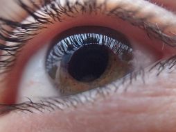 Realizar visitas regulares al oftalmólogo es fundamental para prevenir estas afecciones y asegurar una salud visual óptima. Pixabay