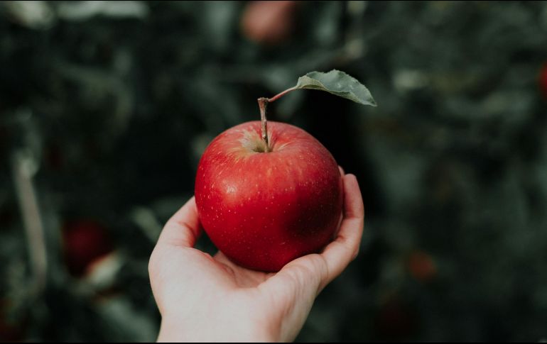 Intenta comer la pieza aproximadamente media hora antes de tu almuerzo para saciar realmente tu sensación de hambre. UNSPLASH / P. Du Preez