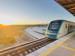 Se asignará transporte a trabajadores de la Riviera. ESPECIAL/TrenMayaMX