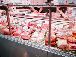 Son prevalentes en animales comestibles como las aves de corral, los porcinos y vacunos, y también en mascotas, como gatos, perros, pájaros y reptiles como las tortugas. UNSPLASH /  D. Liu