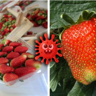 Esto puedes contraer si no lavas bien las fresas