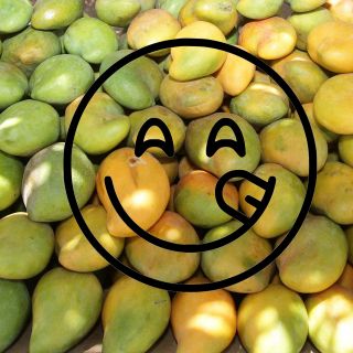 Conoce cuáles son los beneficios de comer mango