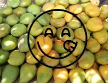 El mango puede aportarte mucho más que un sabor delicioso, procúralo en esta temporada. EL INFORMDADOR / ARCHIVO