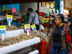 La mayoría de los pescados y mariscos que se comercializan en la ciudad provienen del Pacífico, Golfo y Mar de Cortés. EL INFORMADOR / A. NAVARRO