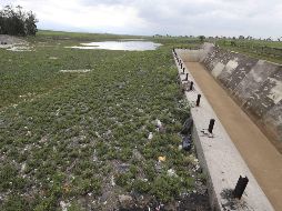 Algunos de los factores que han influido en la crisis del Sistema de Cutzamala son: la sequía, la sobreexplotación, el cambio climático, la deforestación y las fugas de agua. SUN/ ARCHIVO.
