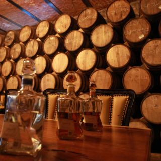 Avalan Día Nacional del Tequila ante incremento de su consumo