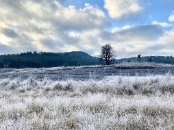 La vaguada polar entró al país y el frío azotará estos estados. SUN/ARCHIVO