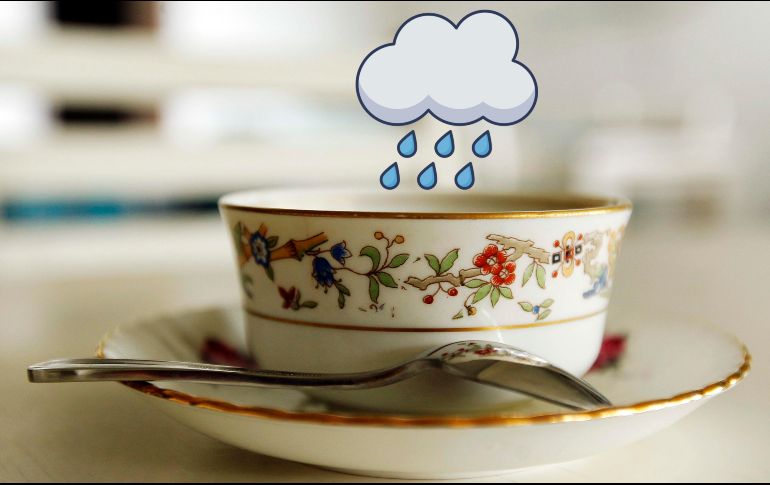 Este té es el indicado para protegerte frente a la amenaza de resfriado por la lluvia. EL INFORMADOR / ARCHIVO