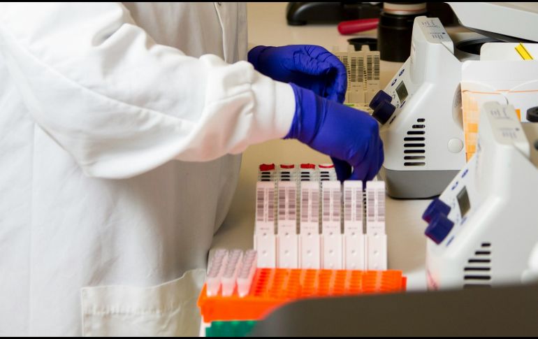 Estos gérmenes pueden ocasionar neumonía así como infecciones en la piel y del esqueleto. UNSPLASH / National Cancer Institute