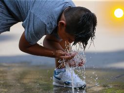 Estas son las recomendaciones a tomar en cuenta para protegerse de las olas de calor que vendrán en el 2024. EL INFORADOR / ARCHIVO