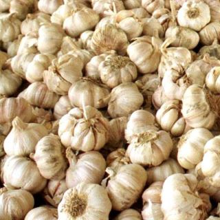 Este superalimento ancestral fortalecerá tu corazón