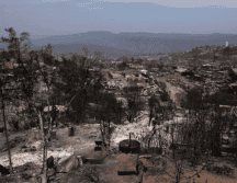 El organismo estatal informó que hasta la fecha se han identificado 108 personas y entregado 82 cuerpos. EFE/ ARCHIVO.