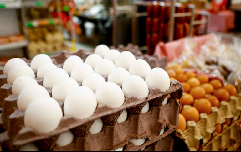 Descubre cómo darles un segundo uso y transformar tus desechos orgánicos en recursos valiosos. EL INFORMADOR / ARCHIVO