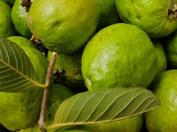 La guayaba es una fruta exquisita y llena de beneficios para la salud. ESPECIAL/ Foto de SAMIUL ITM en Unsplash
