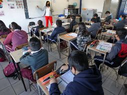 Los alumnos de nivel básico podrán gozar de este 