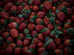 Las fresas son parte de estos alimentos, sin embargo, te recomendamos otros cuatro con resultados comprobados. EL INFORMADOR / ARCHIVO