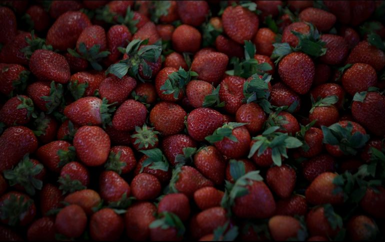 Las fresas son parte de estos alimentos, sin embargo, te recomendamos otros cuatro con resultados comprobados. EL INFORMADOR / ARCHIVO