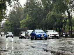 Si aún no has completado este proceso, no está todo perdido, pues puedes beneficiarte de un descuento del 100% para realizar dicho trámite y que no seas multado por las autoridades viales. SUN / ARCHIVO