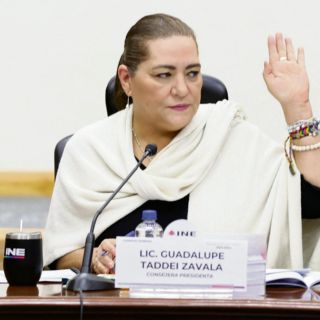 “Los partidos políticos deben estar atentos”: Taddei