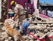 Bomberos tapatíos encontraron el derrumbe de una bóveda y el muro perimetral de una casa habitación. CORTESÍA/PC GUADALAJARA