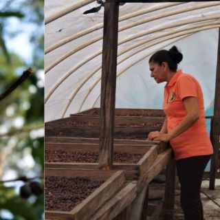 ¿Café de Cuzalapa? Asiste a este festival en esta zona indígena de Jalisco