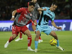 Los Rayos  están pasando por su mejor racha. SUN/ARCHIVO