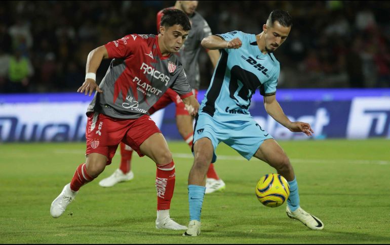 Los Rayos  están pasando por su mejor racha. SUN/ARCHIVO