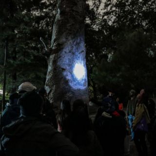 Recorrido nocturno en el bosque Colomos: esta es la fecha y costos