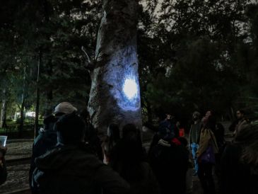Redescubre el bosque Los Colomos bajo la luz de la luna. FACEBOOK/BosquesAMG