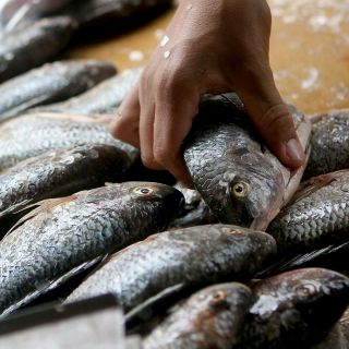 La vitamina clave para combatir el cansancio físico y mental