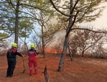 Debido al siniestro, fue necesaria la intervención del Ejército que aplicó el Plan DN-III en apoyo a los brigadistas de la Comisión Estatal Forestal y de la zona arqueológica. X/ @COESFO_GobOax.