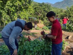 El cupo será para al menos 300 jóvenes que quieran participar de cualquier parte de Jalisco. CORTESÍA / P. FIGUEROA