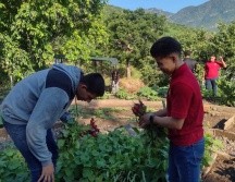 El cupo será para al menos 300 jóvenes que quieran participar de cualquier parte de Jalisco. CORTESÍA / P. FIGUEROA