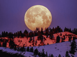 Esta Luna la asocian con la limpieza, la purificación y la renovación. PEXELS/Frank Cone