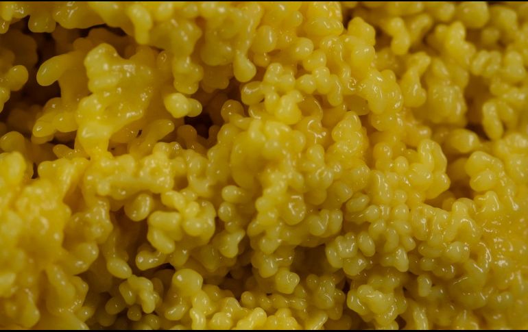 Este cereal es especialmente útil si deseas mejorar tus niveles de colesterol malo. ESPECIAL / PEXELS