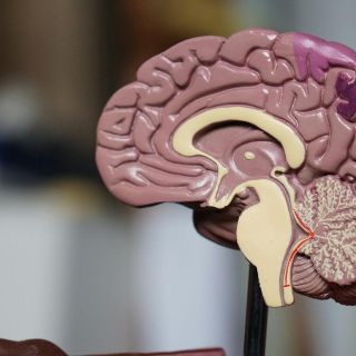 Este ejercicio ayuda a mejorar la memoria, según Harvard