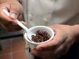 Los chapulines contienen un alto aporte nutricional. NOTIMEX/ARCHIVO