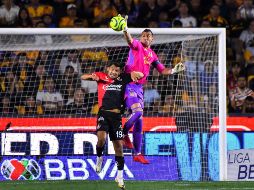 Desde este lunes comenzará la preparación para el duelo del próximo sábado en el Estadio Jalisco frente a las Águilas del América. IMAGO7