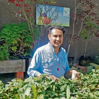 Ayudan a cultivar frutas y hortalizas en casa