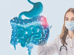 Tener un correcto tránsito intestinal permite la absorción correcta de nutrientes. ESPECIAL