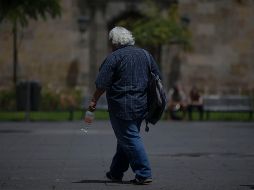 Se estima que hasta un 25 por ciento de la población presenta la enfermedad de hígado graso. EL INFORMADOR / ARCHIVO